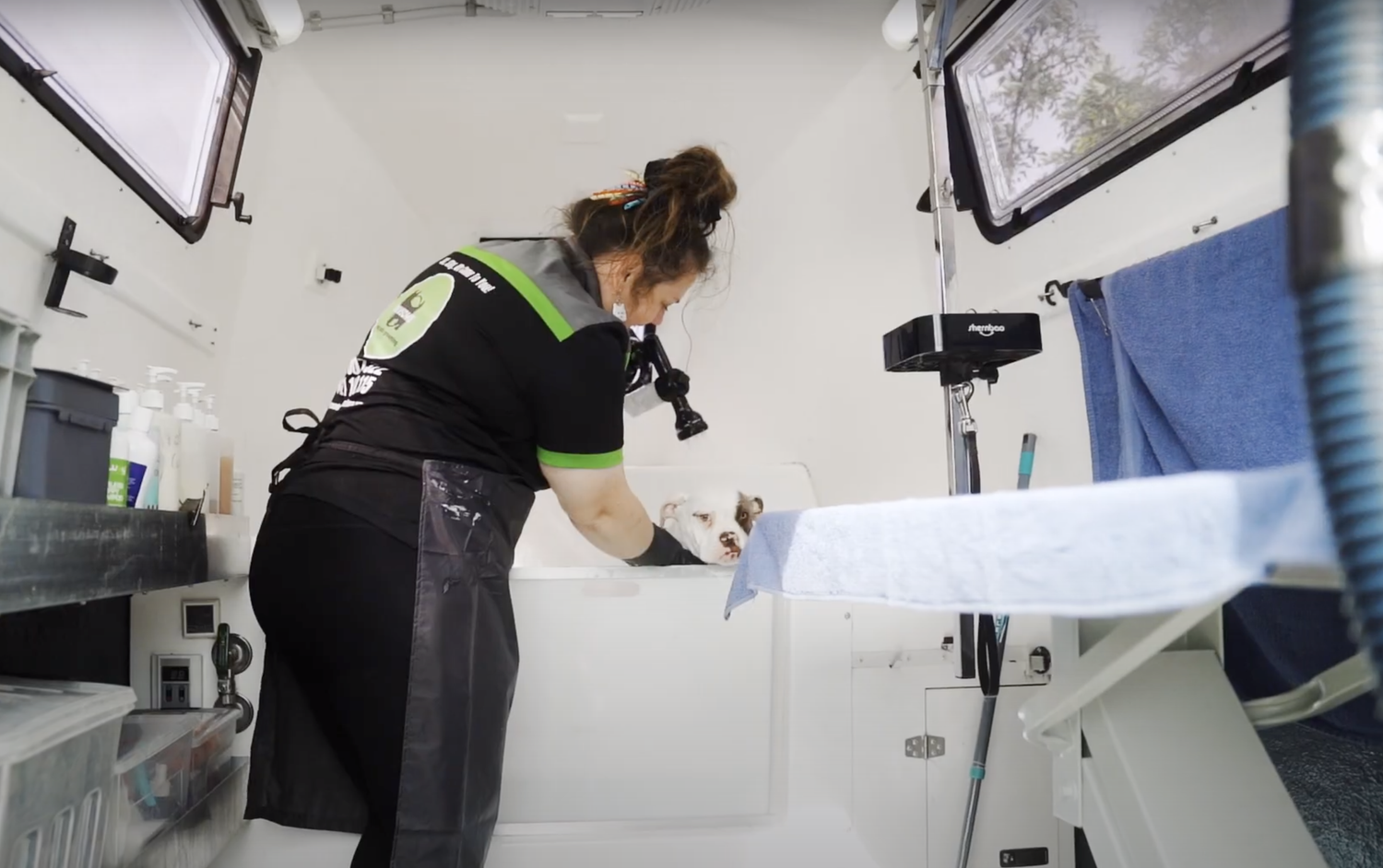 A dog being gently washed inside the Pawsome mobile grooming salon