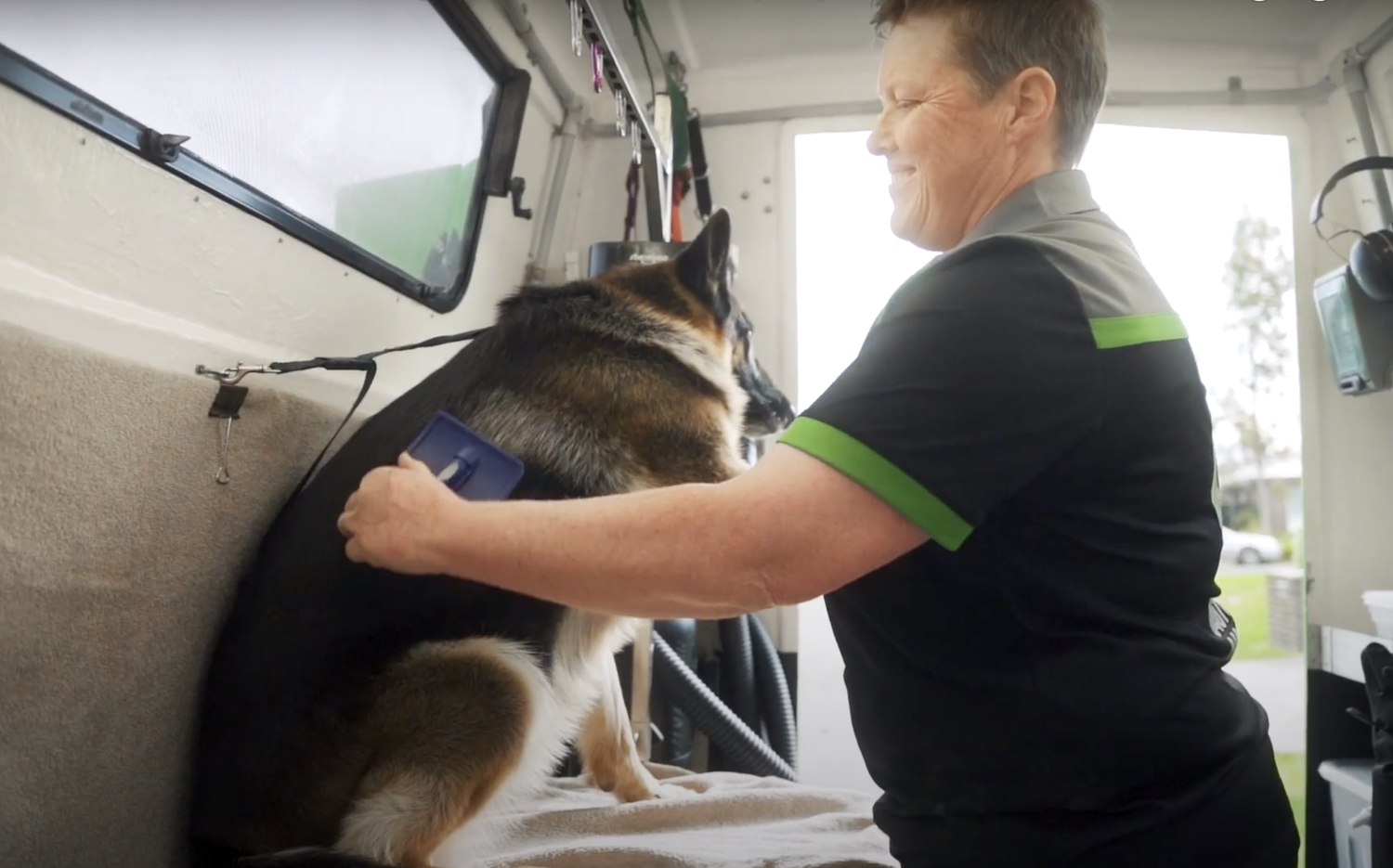 A dog receiving a professional grooming service inside the mobile salon