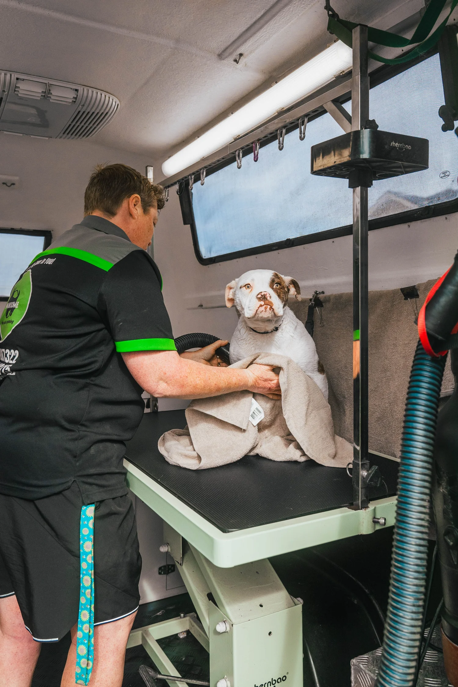 A freshly washed dog being towel-dried in the Pawsome mobile grooming salon