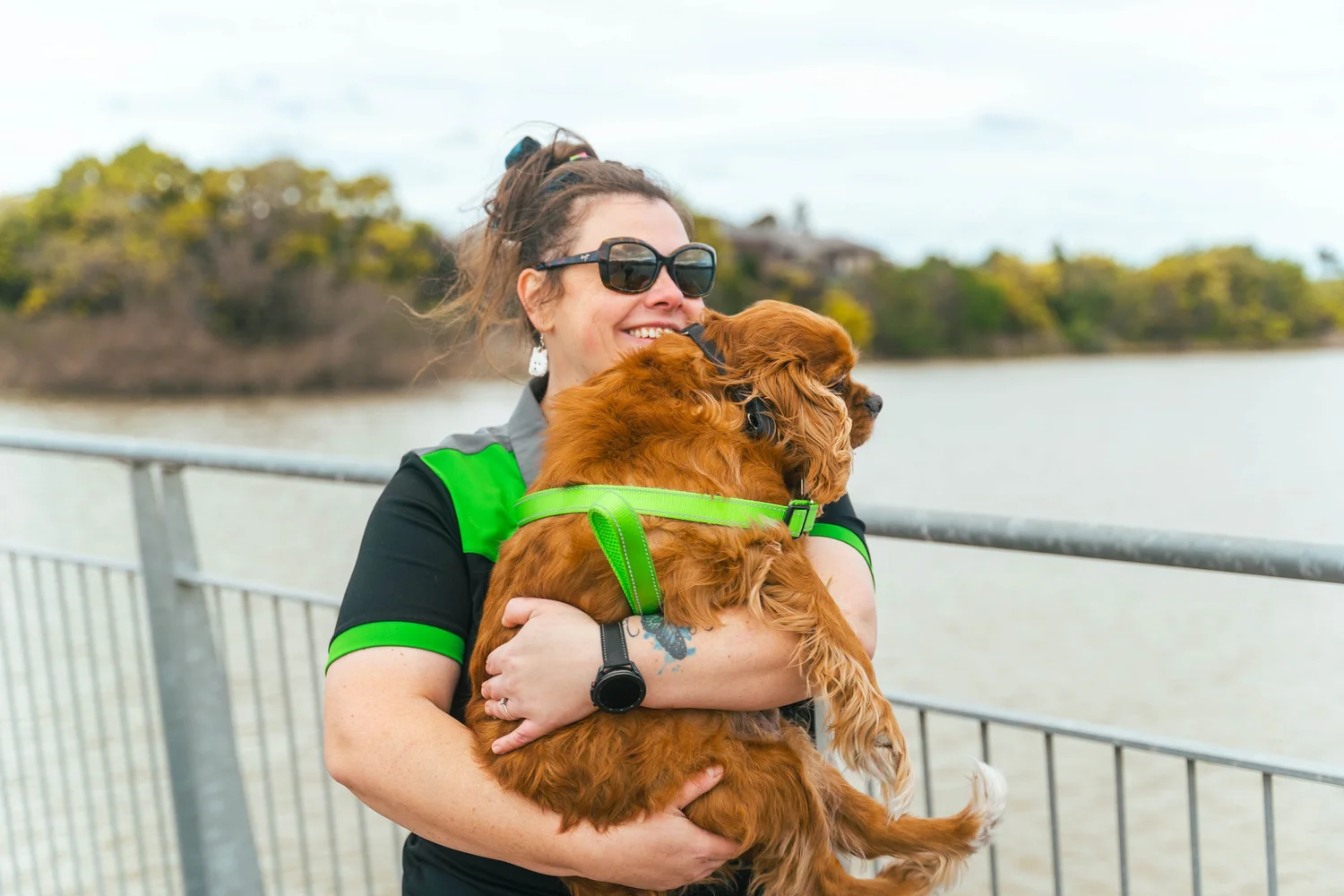 A happy dog receiving pet-minding care