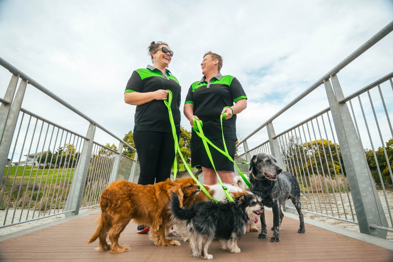 Dog walking service in Western Sydney